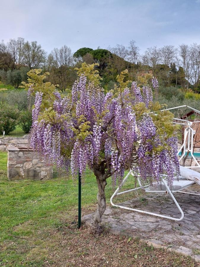 Agriturismo Camera Rosa トーディ エクステリア 写真
